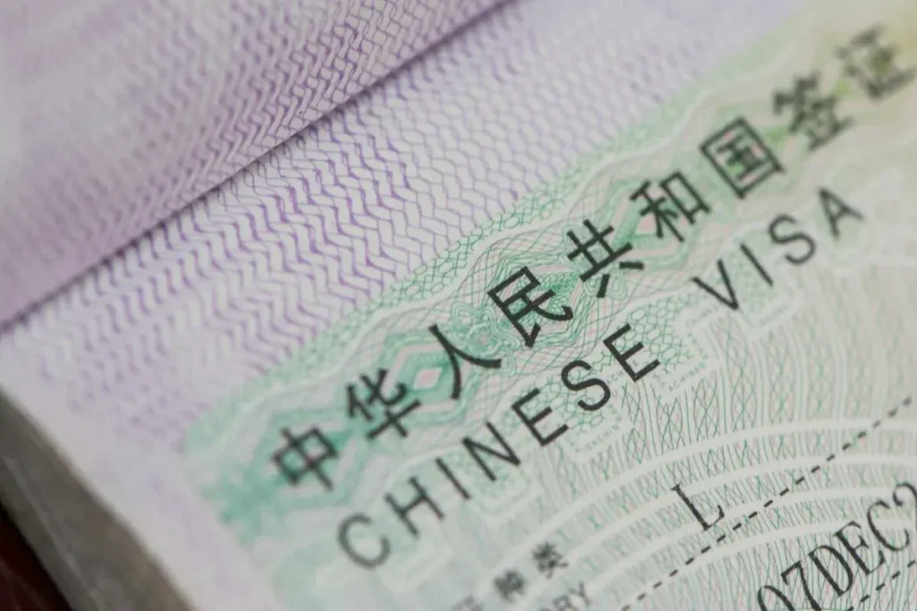 صورة مقربة لملصق فيزا الصين السياحية من نوع L، تظهر بوضوح عبارة 'CHINESE VISA' والتفاصيل الدقيقة للتأشيرة المطلوبة للجزائريين.